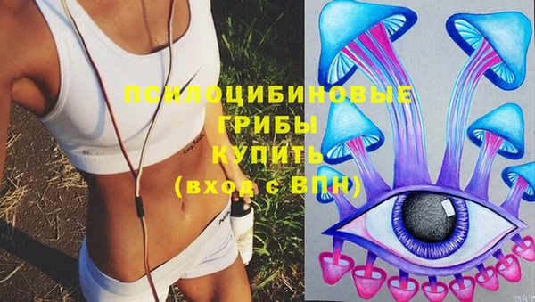 ГАЛЛЮЦИНОГЕННЫЕ ГРИБЫ Баксан